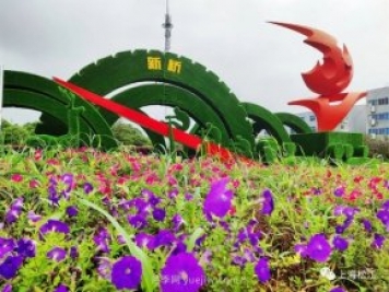 上海松江这里的花坛、花境“上新”啦!特色景观升级!
